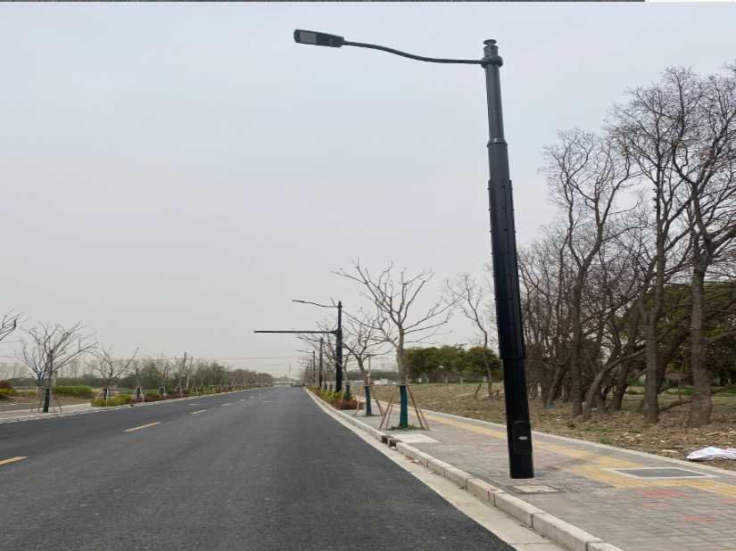 高淳区上海综合杆 太阳能路灯工程